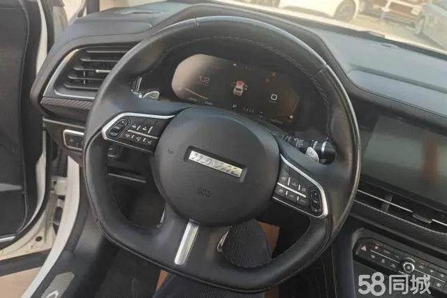 Haval F7x 2020 car image #15