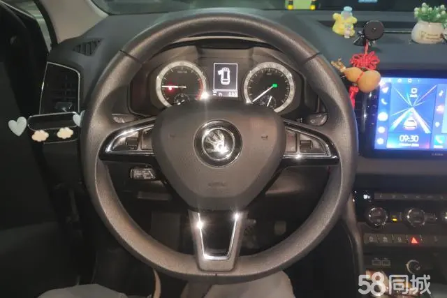 Skoda Karoq 2018 car image #15