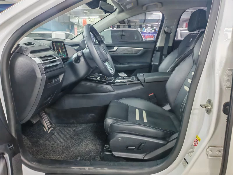 BYD Qin Pro 2020 car image #15