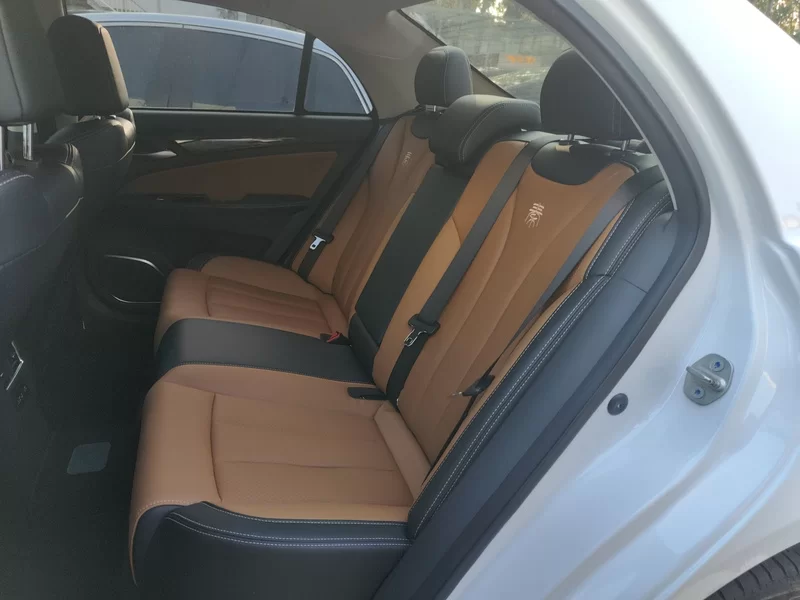 BYD Qin New Energy 2018 car image #15