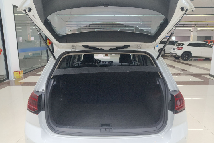 Volkswagen Golf 2020 immagine di auto #22