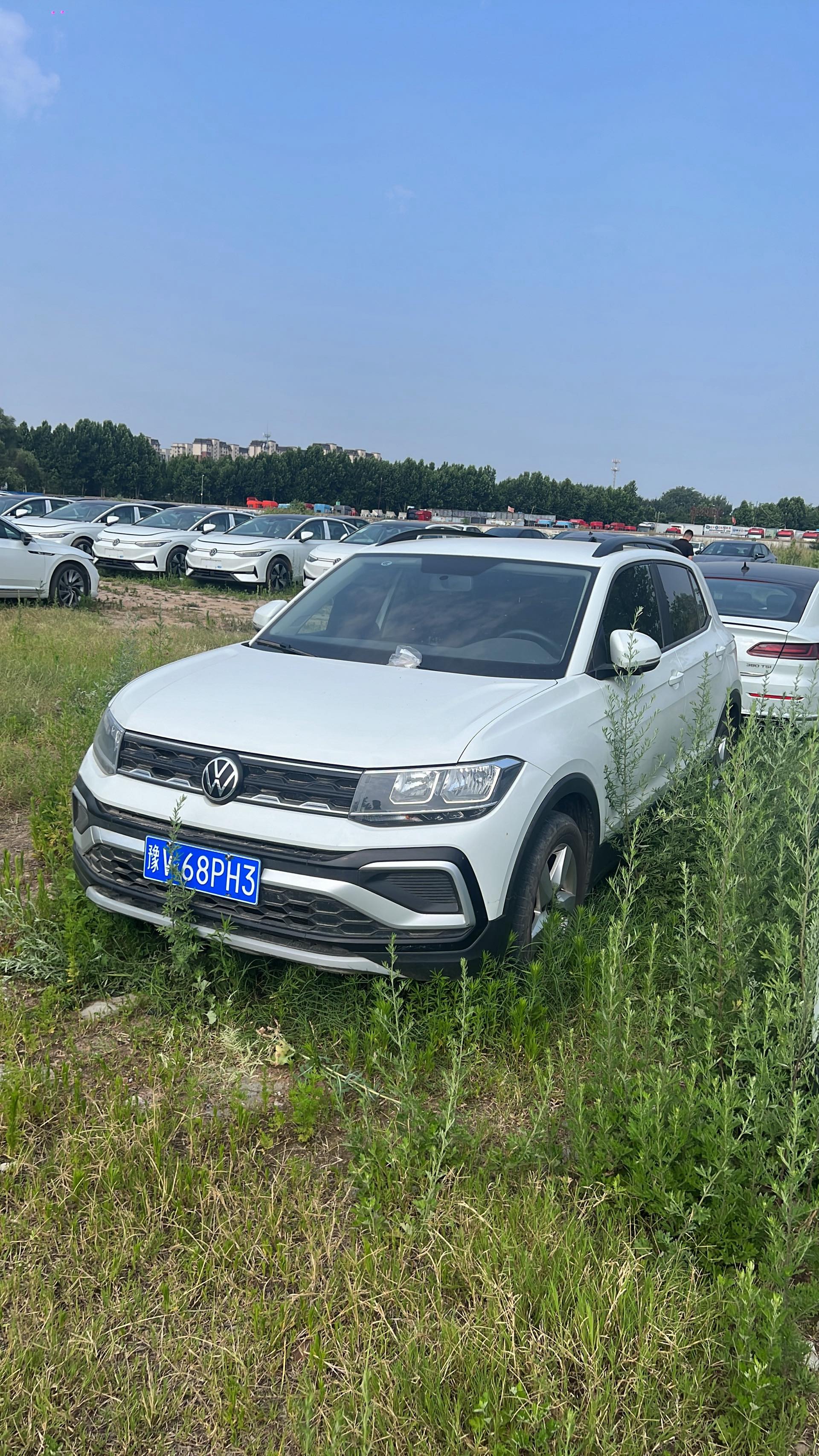 Volkswagen T-Cross 2024 Volkswagen T-Cross 2024 car image
