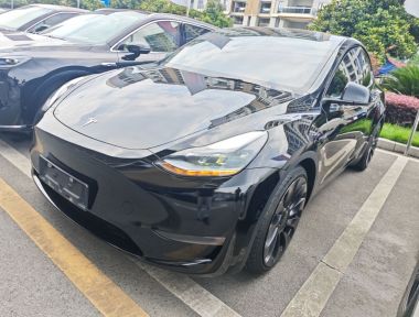 Tesla Model Y 2022 car image 