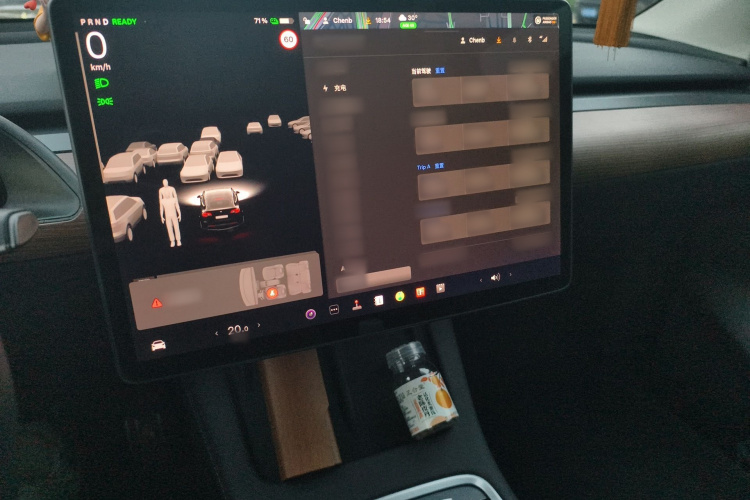 Tesla Model Y 2021 car image #16