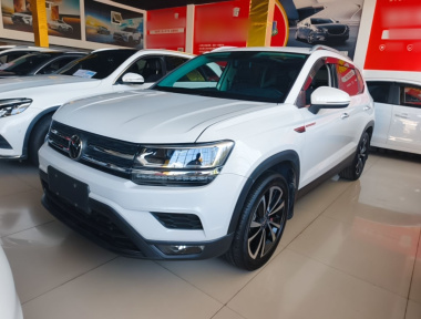 Volkswagen Tharu 2022 car image 