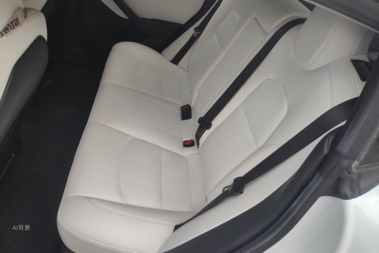 Tesla Model 3 2020 #19 Tesla Model 3 2020 car image #19