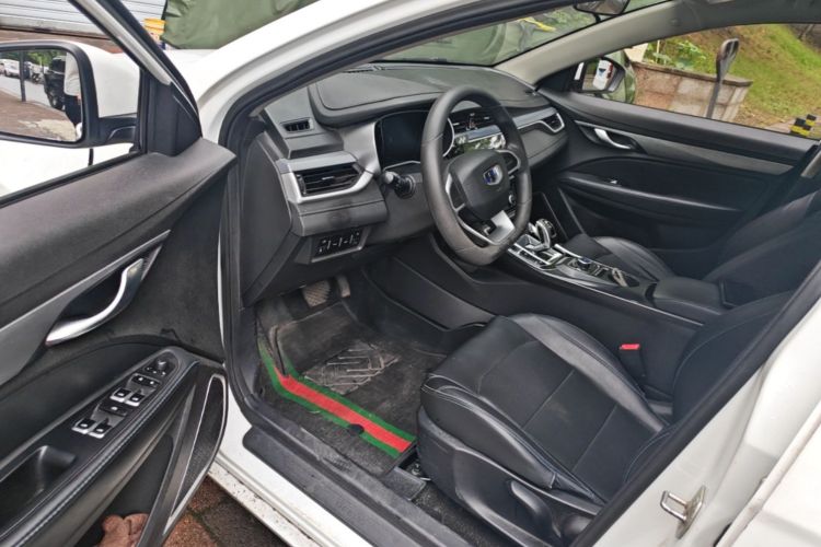 GEELY Emgrand New Energy 2021 car image #16