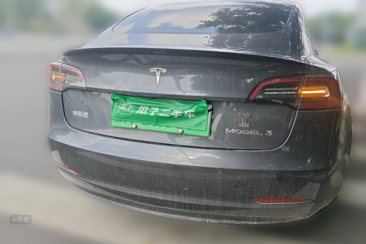 Tesla Model 3 2021 car image #6