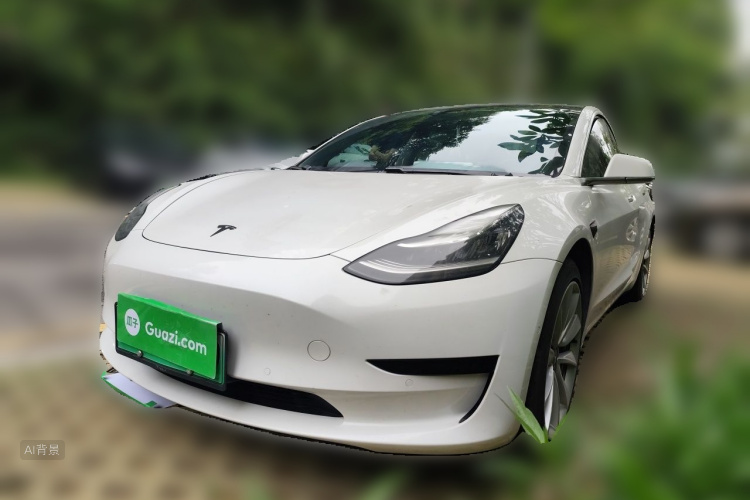 Tesla Model 3 2020 car image #2