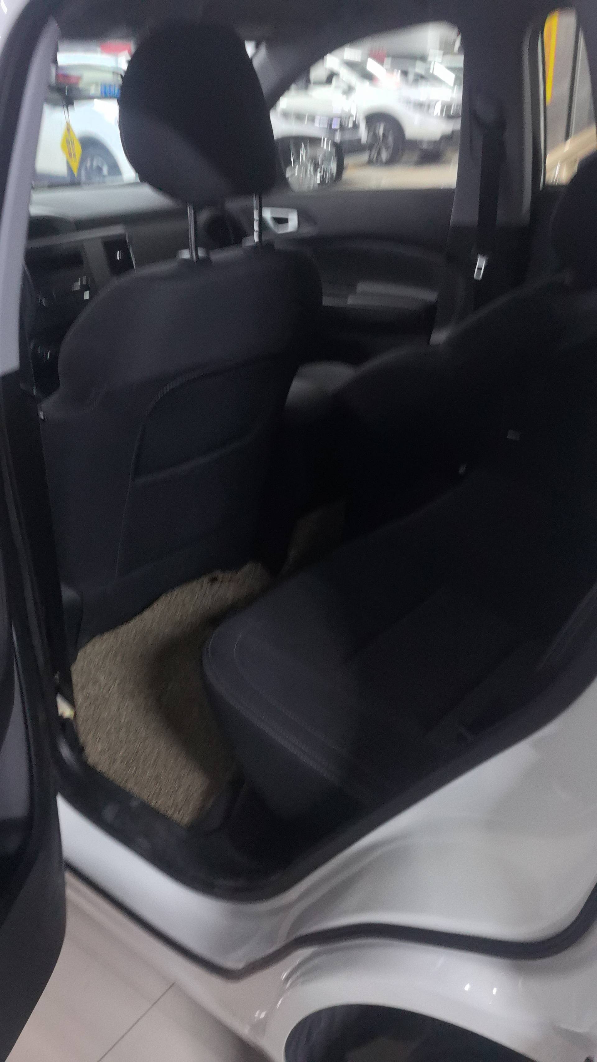 Chery Tiggo 5x 2020 immagine di auto #5