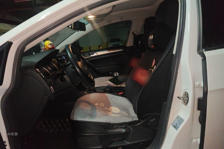 Volkswagen Golf 2019 car image #17