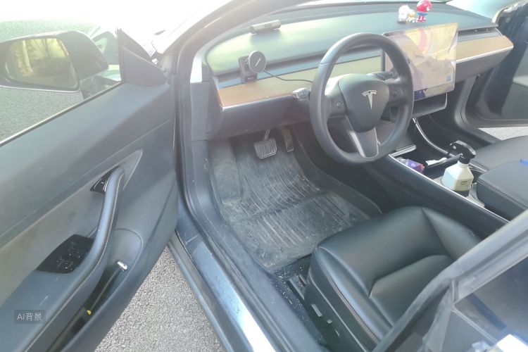 Tesla Model 3 2020 immagine di auto #18