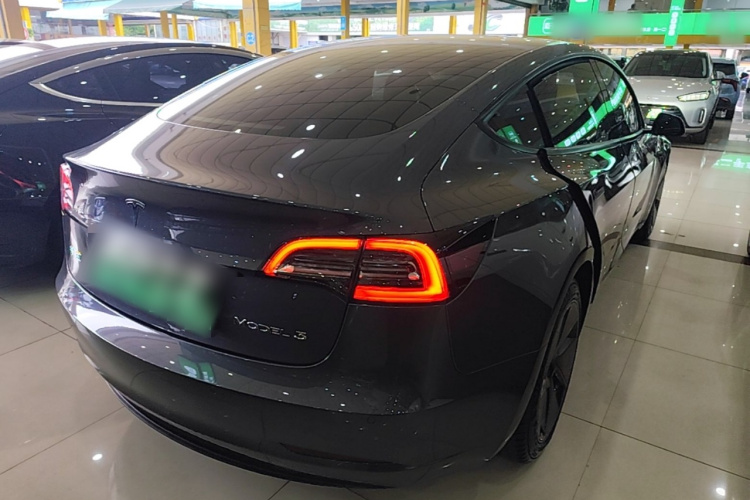 Tesla Model 3 2021 #5 Tesla Model 3 2021 car image #5