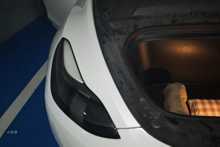 Tesla Model Y 2022 #8 Tesla Model Y 2022 car image #8