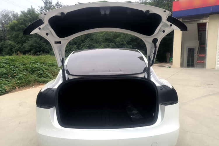 Tesla Model 3 2024 изображение автомобиля #19