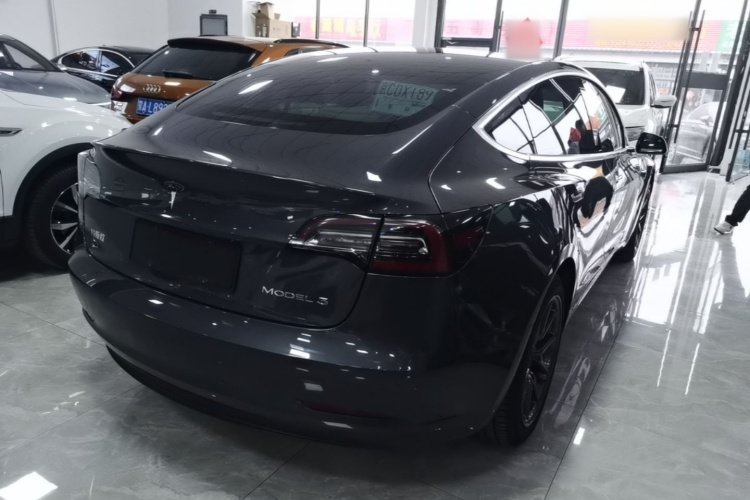 Tesla Model 3 2020 car image #7