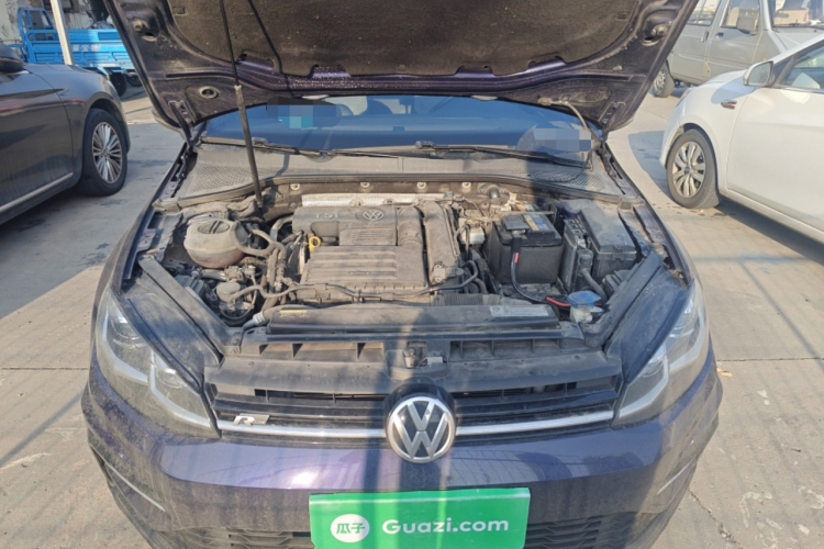 Volkswagen Golf 2019 #20 Volkswagen Golf 2019 car image #20