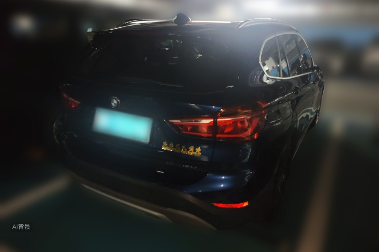 BMW X1 2019 car image #7