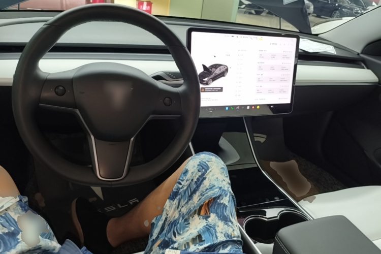 Tesla Model 3 2020 car image #11