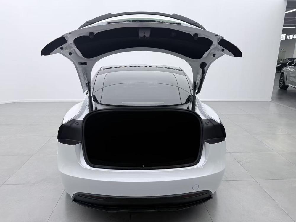Tesla Model 3 2024 imagem de carro #25