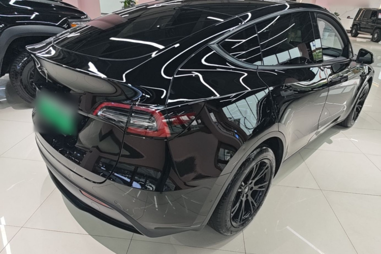 Tesla Model Y 2021 car image #7