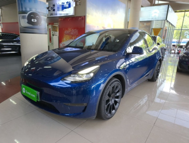 Tesla Model Y 2021 car image 