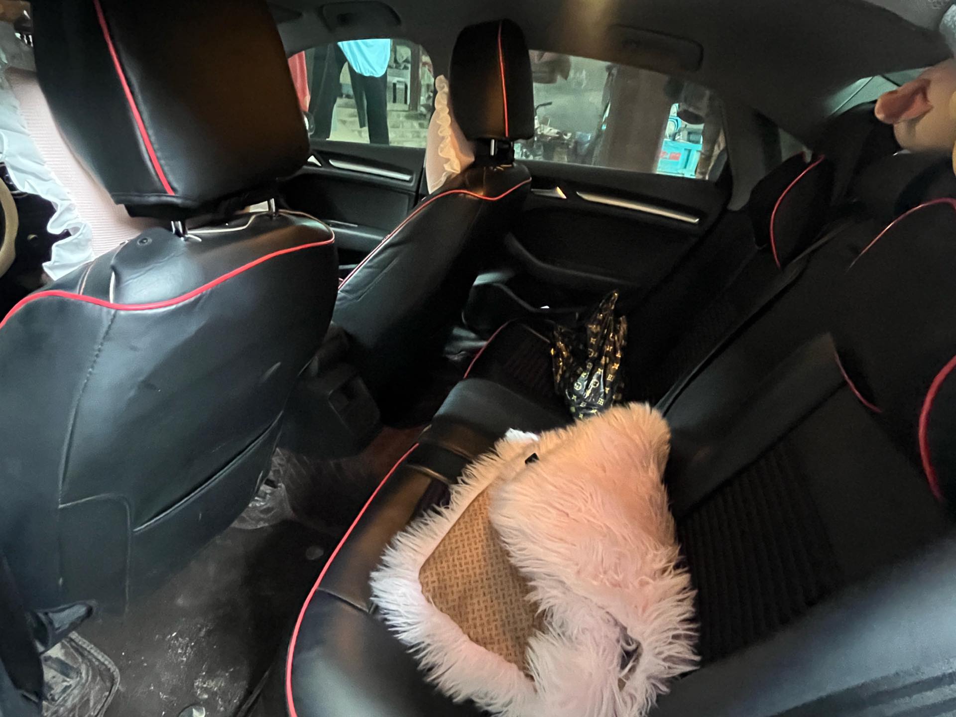 奥迪 奥迪A3 2019 汽车图片 #4