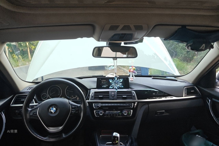 BMW 3 Series 2018 car image #11