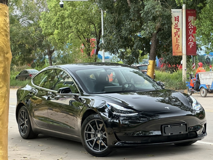 Tesla Model 3 2020 #3 Tesla Model 3 2020 car image #3
