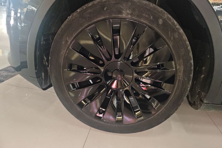 Tesla Model Y 2025 car image #3