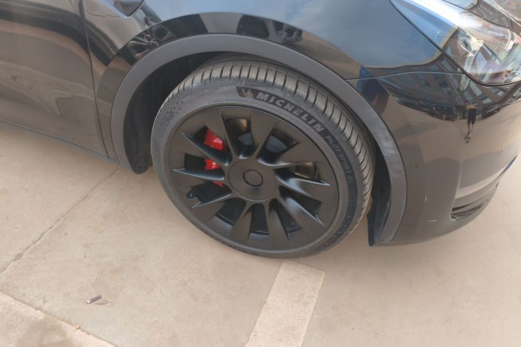 Tesla Model Y 2021 car image #9
