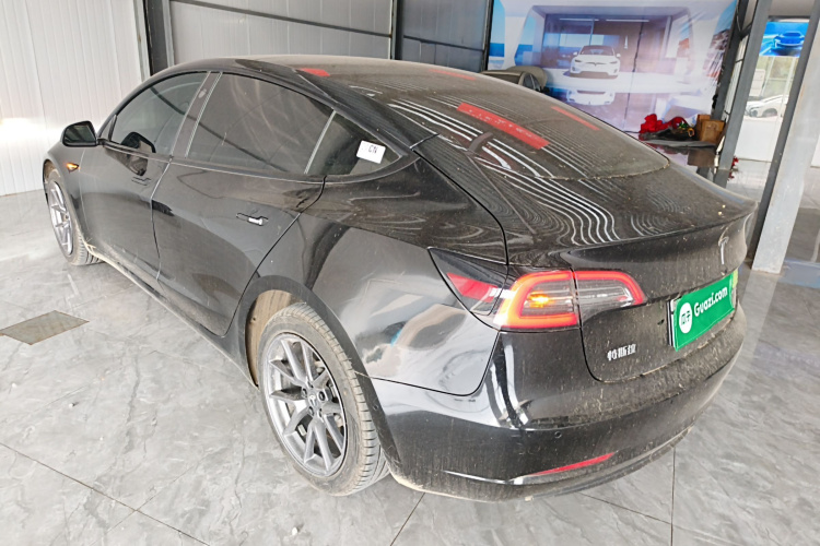 Tesla Model 3 2021 car image #7