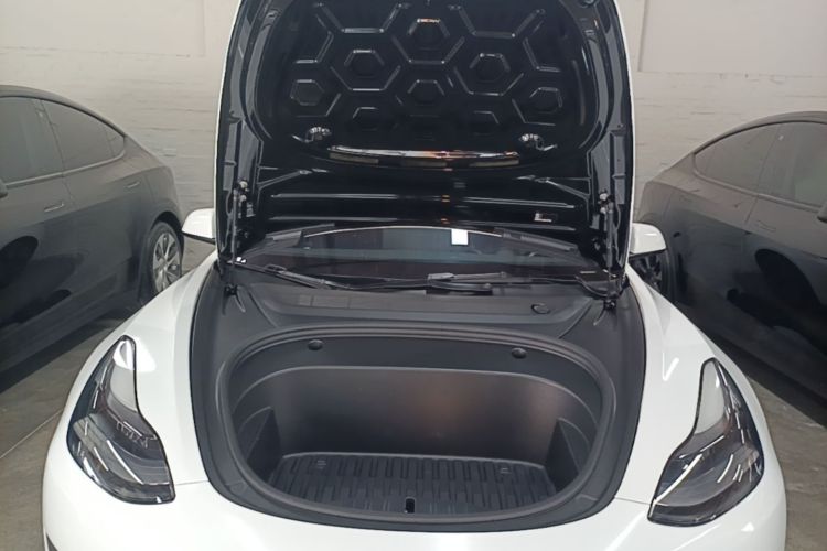 Tesla Model 3 2021 car image #20