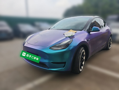Tesla Model Y 2022 Tesla Model Y 2022 car image