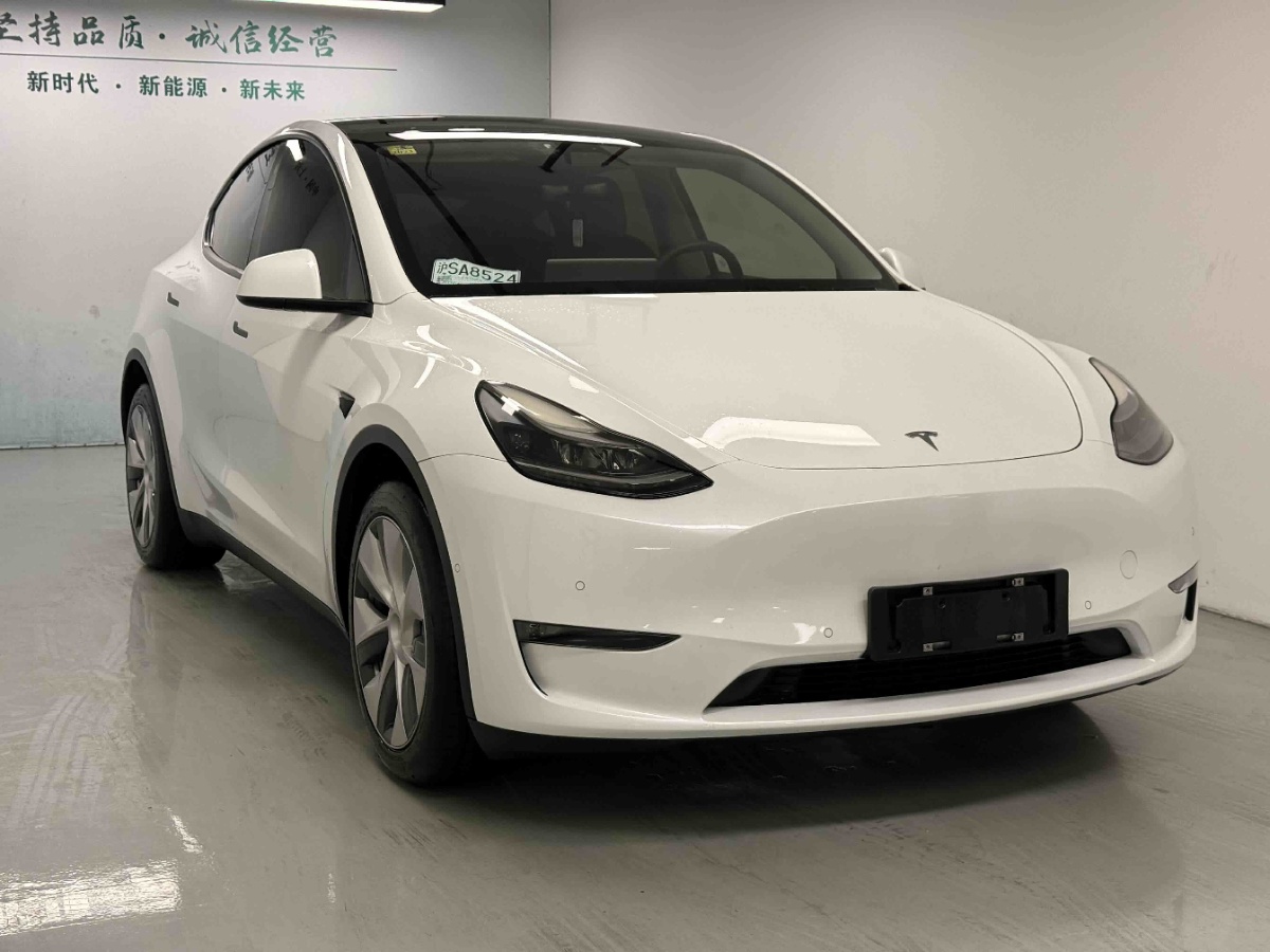 Tesla Model Y 2021 #8 Tesla Model Y 2021 car image #8
