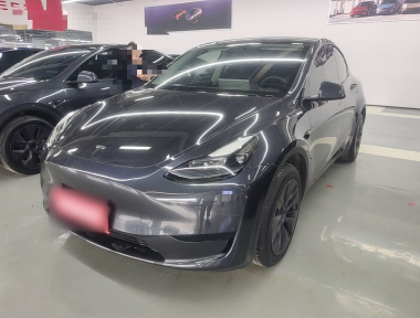Tesla Model Y 2024 Tesla Model Y 2024 car image