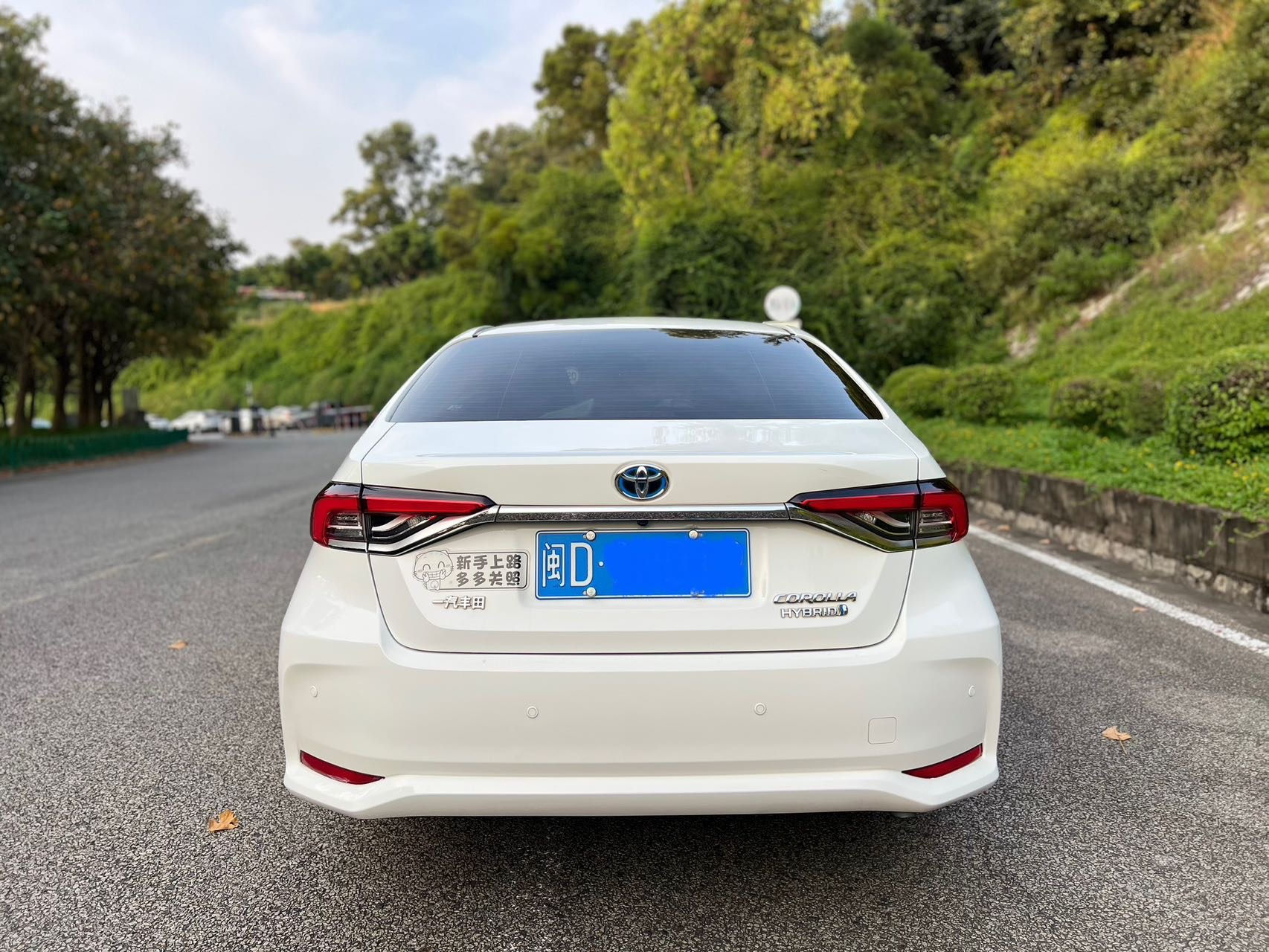 Toyota Corolla 2020 #8 Toyota Corolla 2020 car image #8