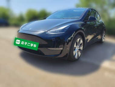 Tesla Model Y 2021 Tesla Model Y 2021 immagine di auto