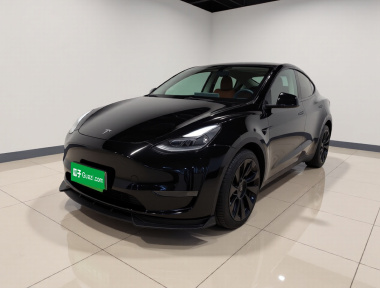 Tesla Model Y 2021 Tesla Model Y 2021 car image