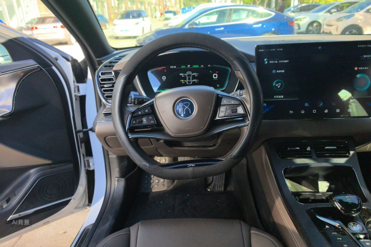 BYD Han 2020 #12 BYD Han 2020 immagine di auto #12