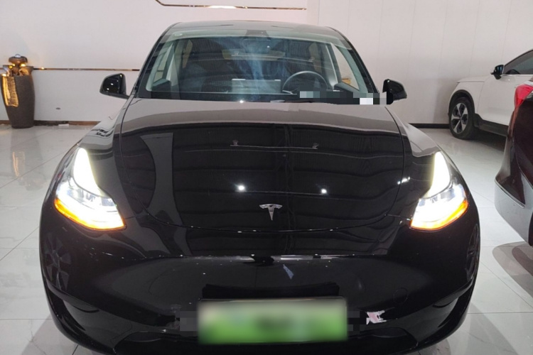 Tesla Model Y 2022 #3 Tesla Model Y 2022 car image #3
