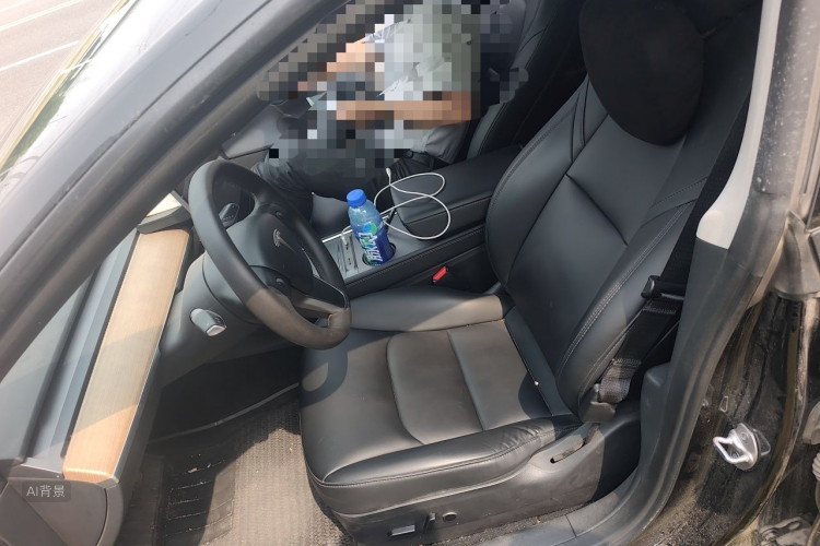Tesla Model 3 2022 #17 Tesla Model 3 2022 car image #17