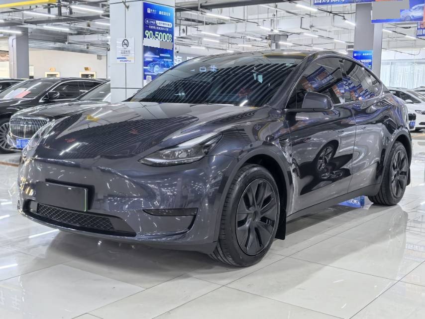Tesla Model Y 2024 car image 