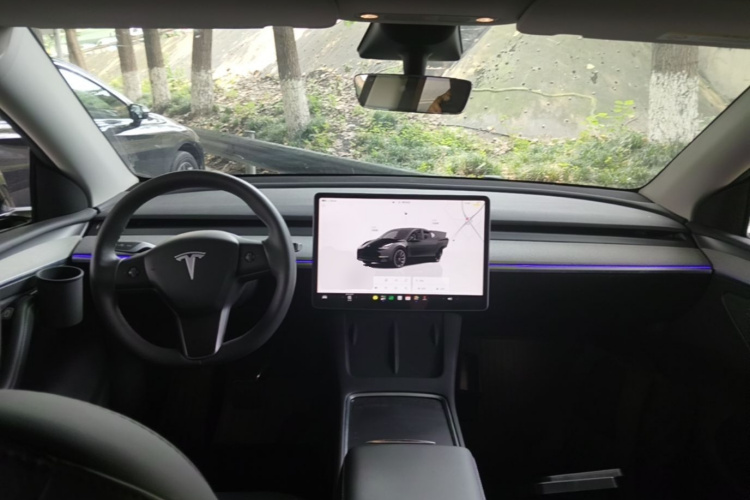 Tesla Model Y 2024 car image #10