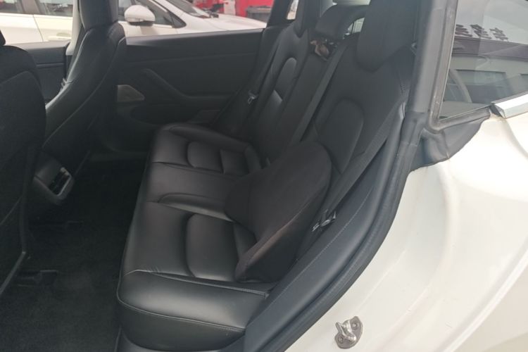 Tesla Model 3 2020 #17 Tesla Model 3 2020 car image #17