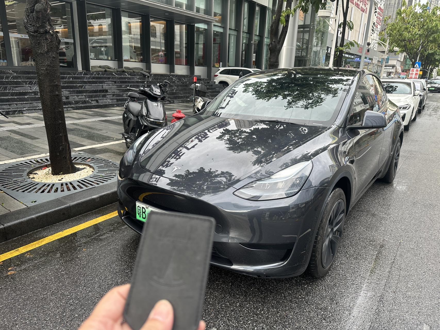 Tesla Model Y 2024 car image 