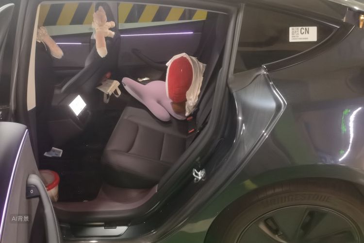 Tesla Model 3 2025 imagem de carro #19