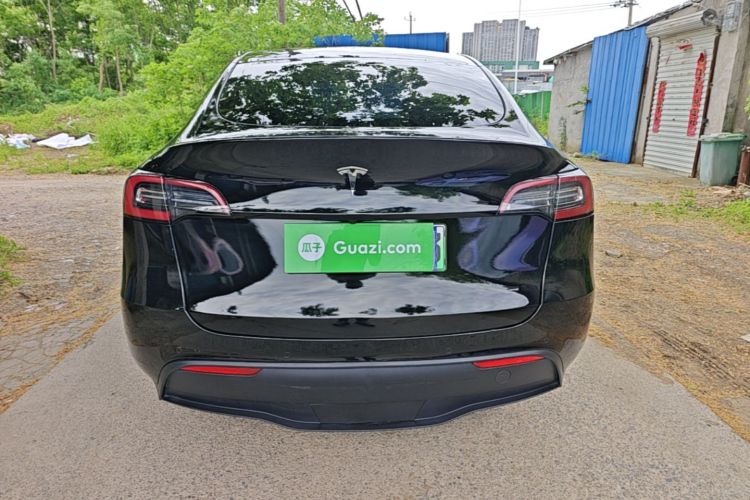 Tesla Model Y 2023 #6 Tesla Model Y 2023 car image #6