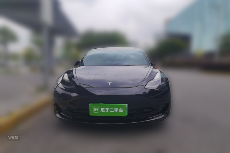 Tesla Model 3 2021 car image #3