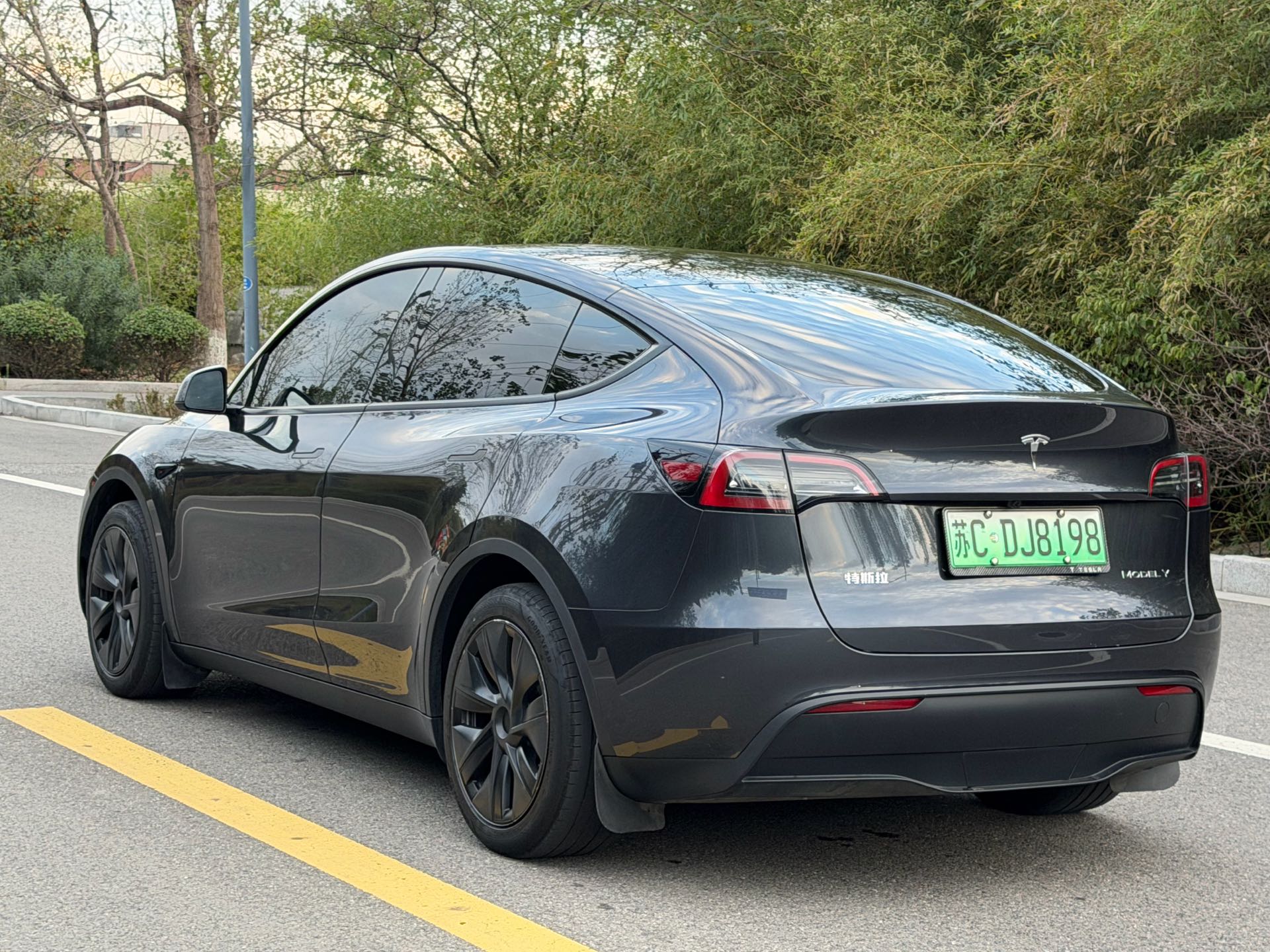 Tesla Model Y 2024 car image #9